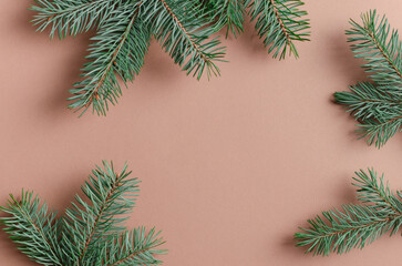 Christmas, New Year, winter holidays background with fir tree om beige background