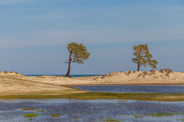 Obraz premium Sarai beach near Shamanka rock. Khuzhir village, Olkhon island, Irkutsk region, Russia.