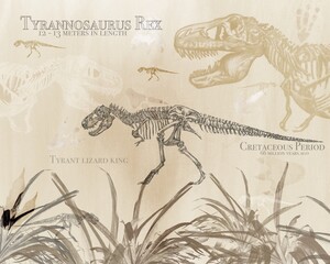 Tyrannosaurus Rex The Tyrant Lizard King © Sophia