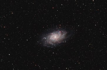 Obraz premium Triangulum Galaxy M33