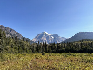 Obraz premium Mount Robson, BC, Canada. A mountain landscape with blue sky and yellow grass in the foreground. 