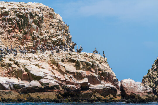 Island View of Paracas, Peru