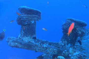 Thistlegorm shipwreck in the Red Sea, Egypt