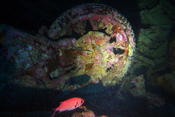 Old motorbikes inside Thistlegorm shipwreck in the Red Sea, Egypt