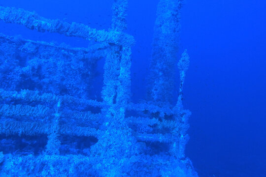 Numidia shipwreck in the Red Sea near Big Brother island, Egypt