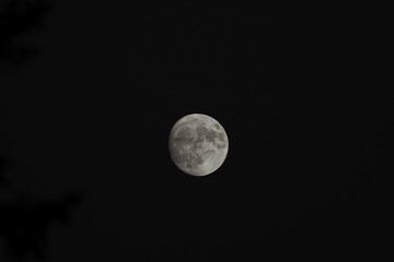 Moon