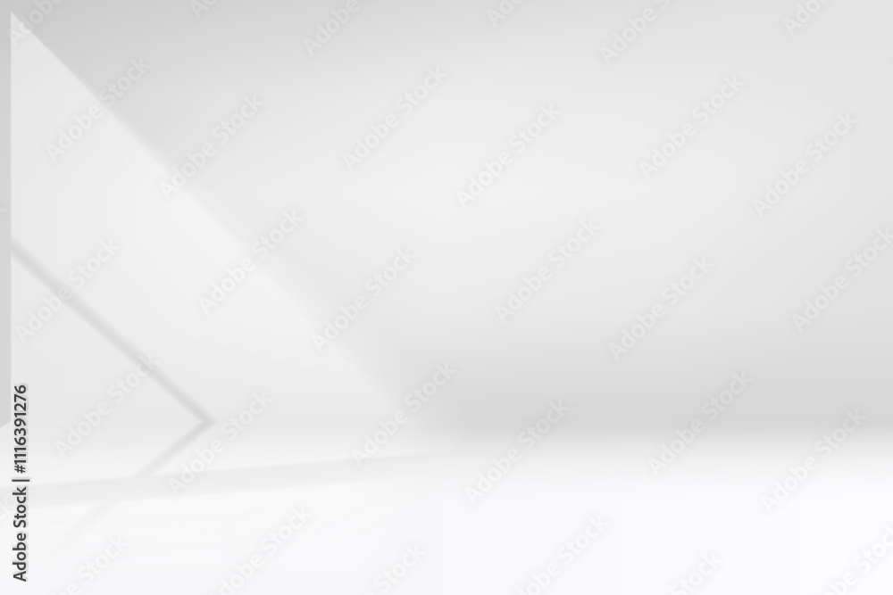 Leinwandbilder empty bright studio with sunlight. 3d vector background for product design