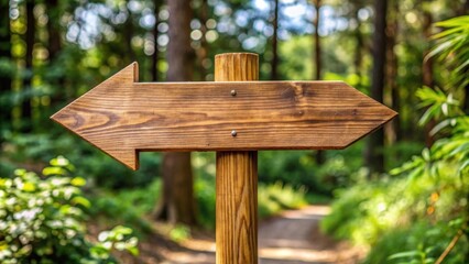 Wooden Directional Sign in Lush Green Forest with Sunlight Filtering Through Leaves, Symbolizing Choices and Navigation in Nature