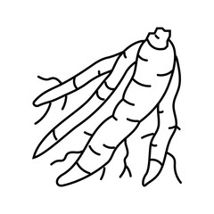 shatavari ayurvedic herb line icon vector. shatavari ayurvedic herb sign. isolated contour symbol black illustration