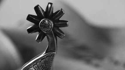 Western spur closeup for cowboy culture, copy space on black and white background.