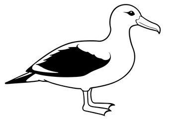 albatross line art silhouette vector illustration
