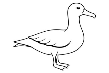 albatross line art silhouette vector illustration