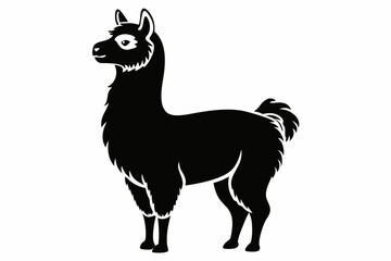 alpaca line art silhouette vector illustration