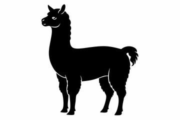 alpaca line art silhouette vector illustration