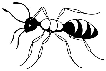 ant line art silhouette vector illustration