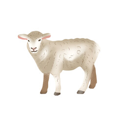 Fototapeta premium illustration of sheep farm animal