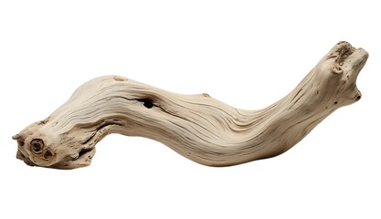 close up of a dead tree