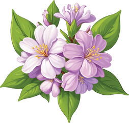 Obraz premium a Daphne flower clipart winter flower