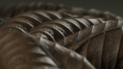 Carpinus betulus dry leaves looking like strange creatures. Macro shot.