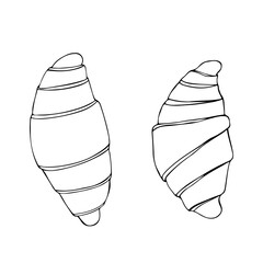 Croissants top view. Black and white illustration
