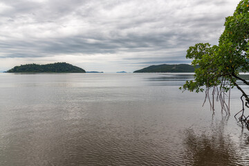 Beautiful Landscape of Mangroves and Islands Under Cloudy Skies in Thailand
