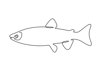 Obraz premium White bass fish continuous single line drawing vector illustration