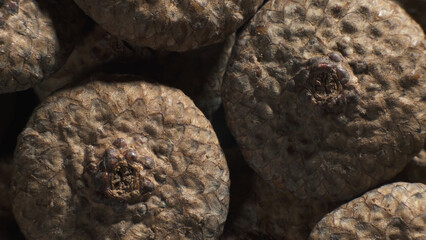 Acorn caps. Complex surface texture. Macro shot. 