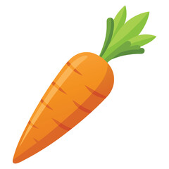 carrot on white background