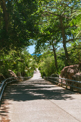 Roller Coaster Like Bicycle Lane