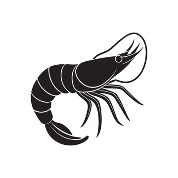 recommend clip art: shrimp silhouette, black and white silhouette, vector and illustration, black and white