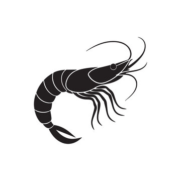 recommend clip art: shrimp silhouette, black and white silhouette, vector and illustration, black and white