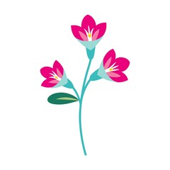 flower illustration design on white background 