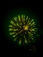 Obraz premium Fireworks