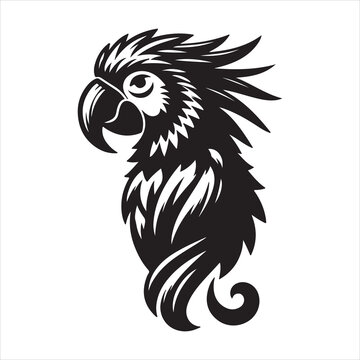 recommend clip art: A Graphic Illustration of a Parrot Bird