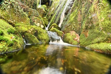The image shows a small waterfall flowing over moss-covered rocks into a calm pool of water. The lush greenery and gentle flow of water create a tranquil and serene scene.