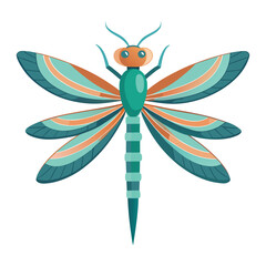 dragonfly on white background