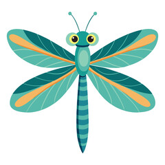 dragonfly on white background