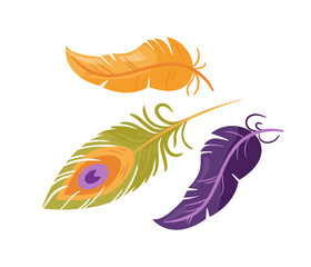 Obraz premium A vibrant set of multi colored peacock and parrot feathers in a boho style. This vector illustration showcases intricate details and flowing designs, perfect for creative projects or home decor.