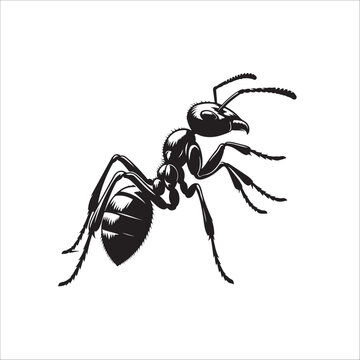 black ant side view clip art preview