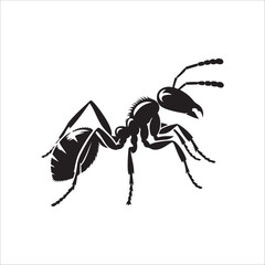 the best  ant vector  silhouette