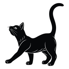 Fototapeta premium silhouette of a cat stretching