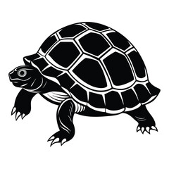 tortoise vector silhouette on white background