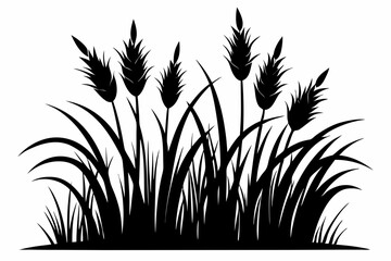 A simple Prairie Grass silhouette black vector white background