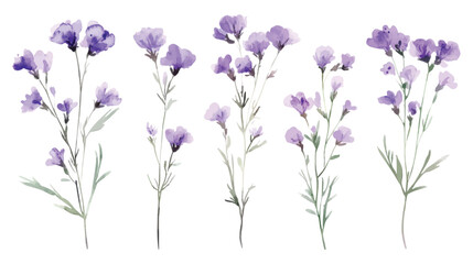 Obraz premium Watercolor Illustrations of Purple Wildflowers with Delicate Stems