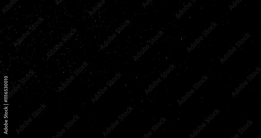 Wall mural natural organic dust particles floating on black background. dynamic dust particles randomly float i