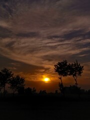 nature wit beauty