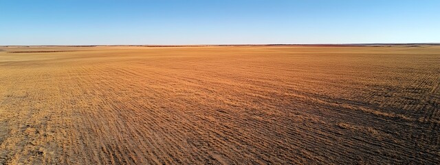 Fototapeta premium Aerial view of the horizon, an empty field with a plowed furrow