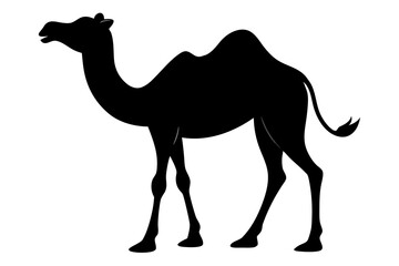 camel silhouette vector illustration