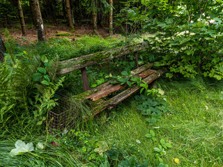 Zugewachsene Bank beim Wandern im Bayerischen Wald entdeckt