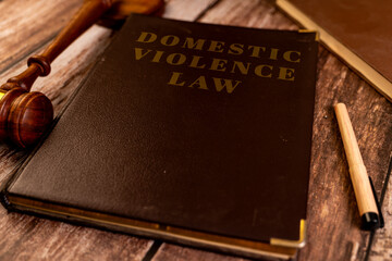 Domestic Violence Law Book